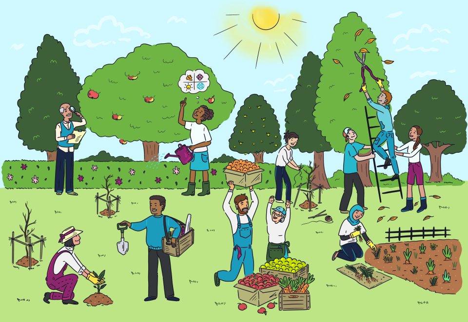 illustrated image of 11 people working outside to tend a garden
